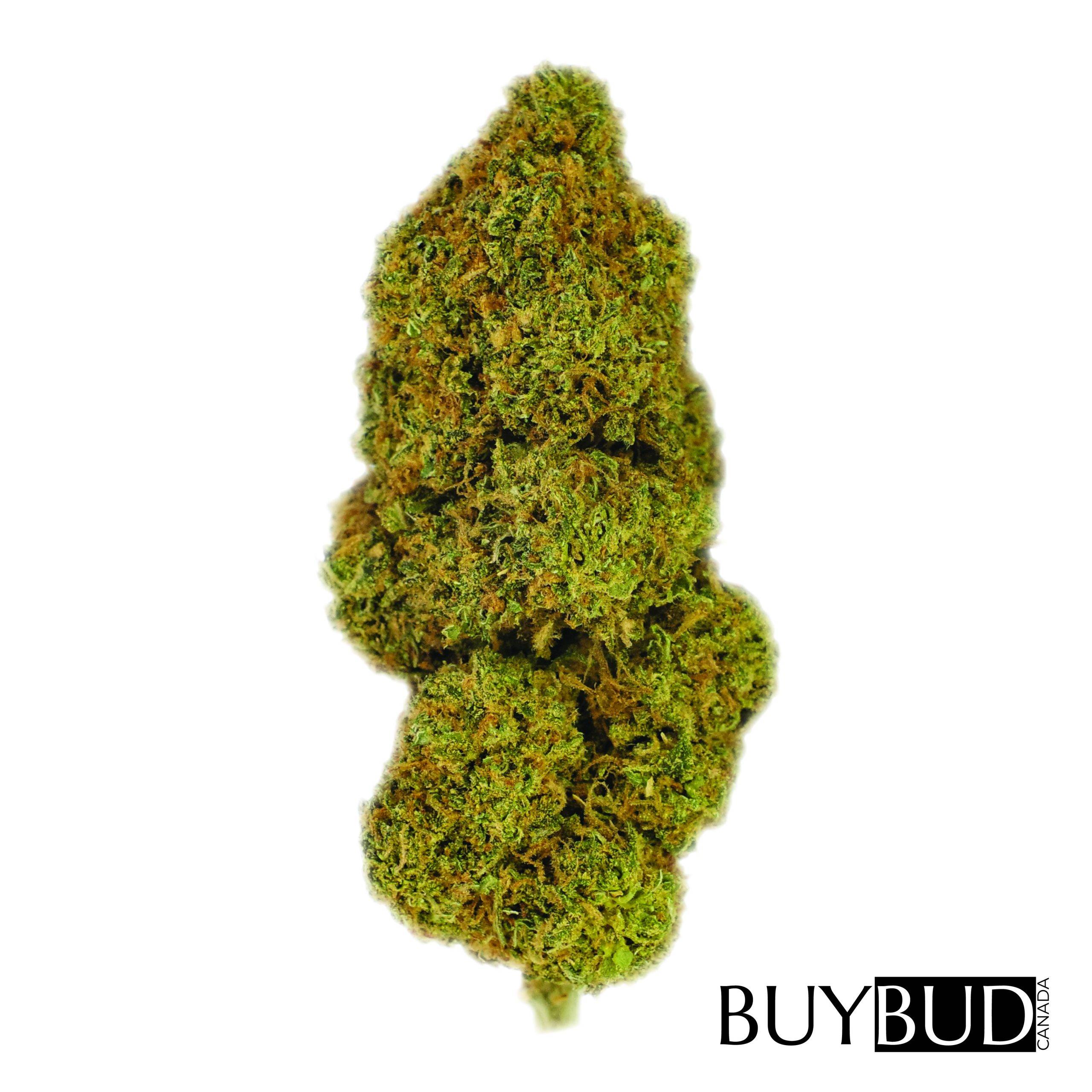 cotton candy cannabis