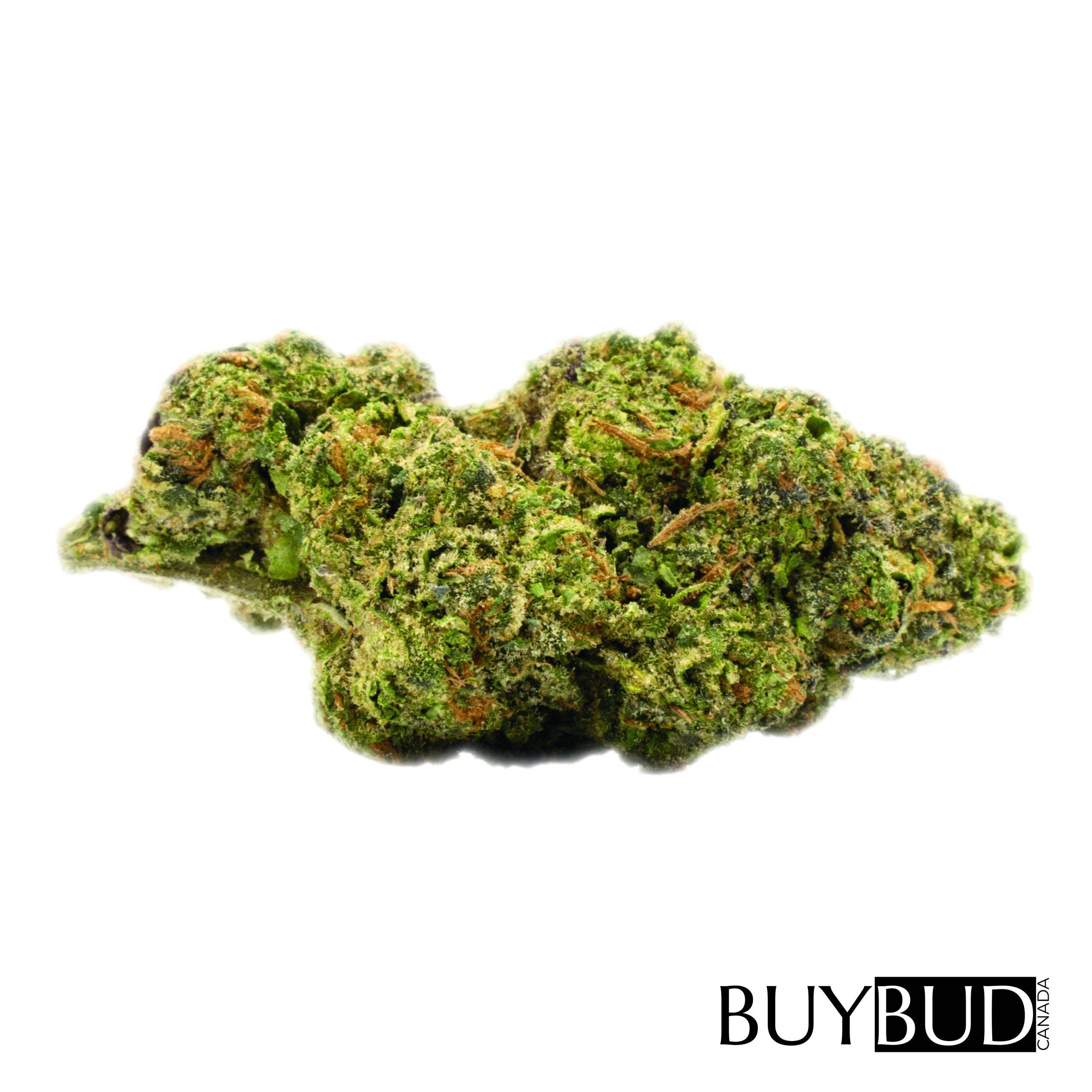 larry bird cannabis