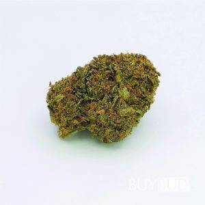 NYC Diesel Cannabis