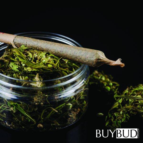 pre-rolls