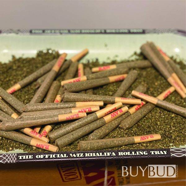 pre-rolls
