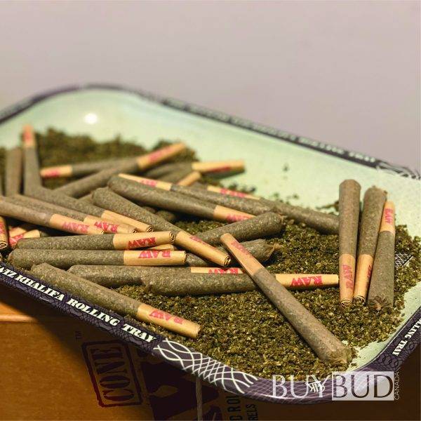 pre-rolls