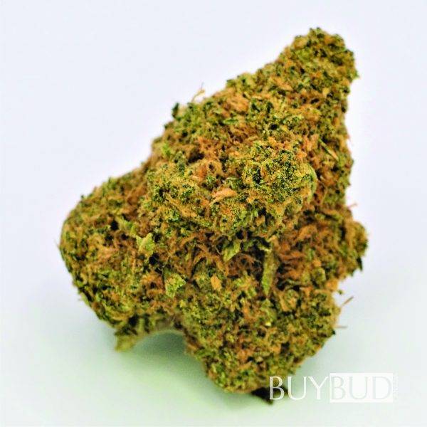 tangerine dream cannabis
