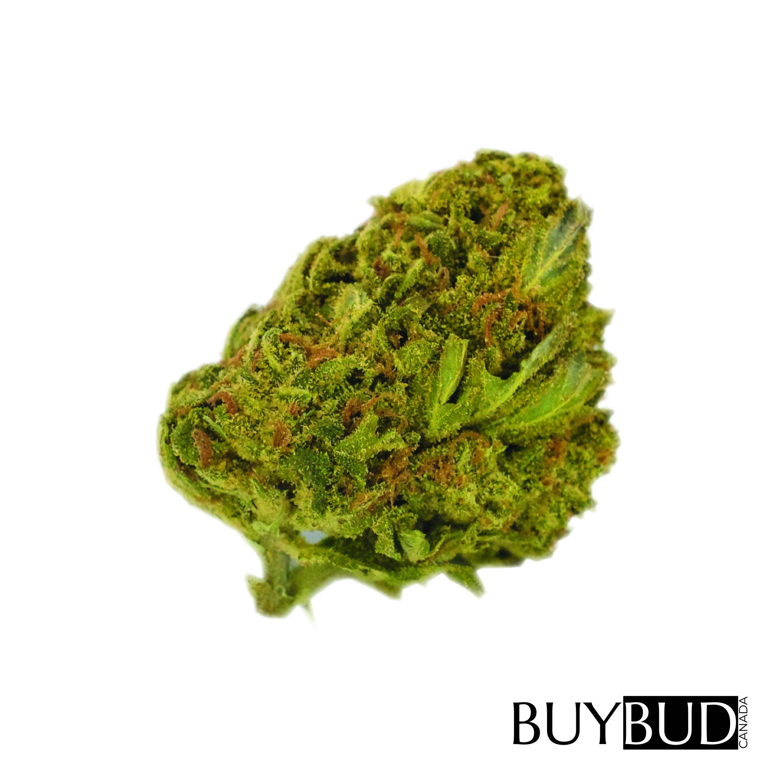 recon og cannabis