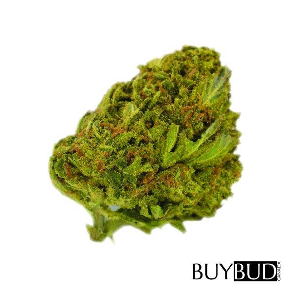 recon og cannabis