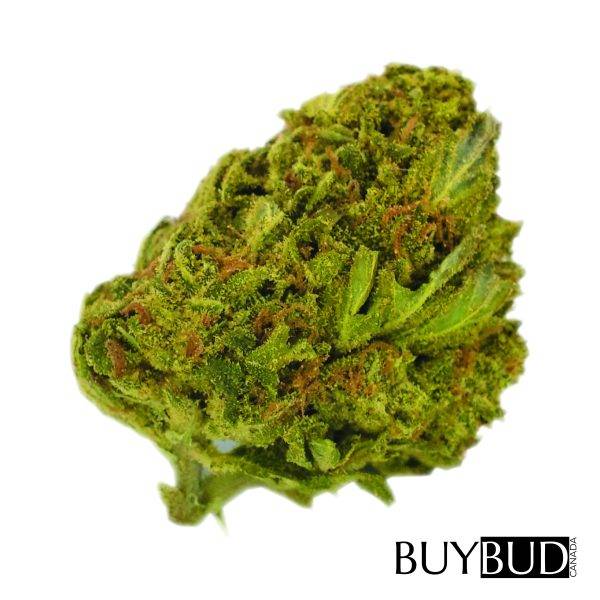 recon og cannabis