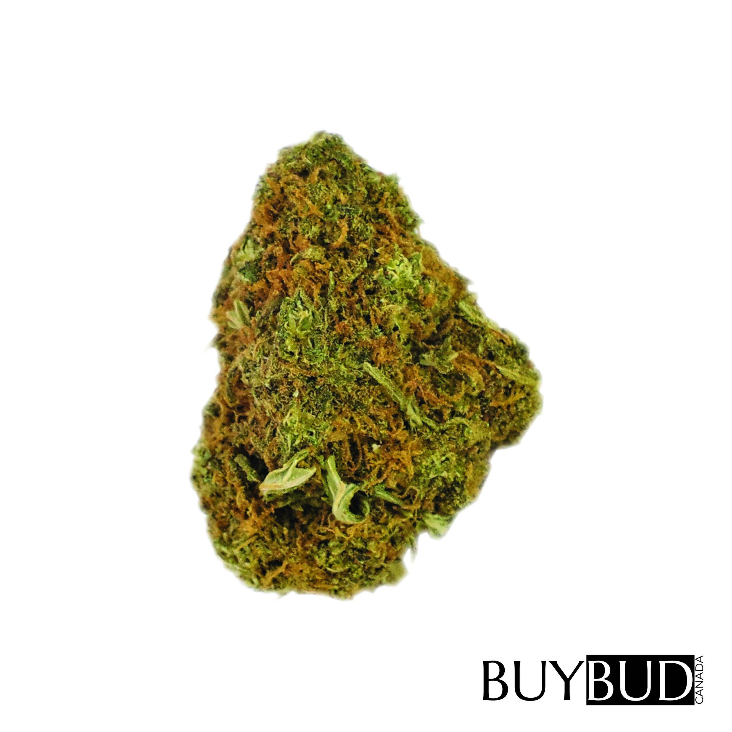 super pink cannabis