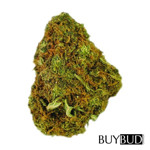 super pink cannabis