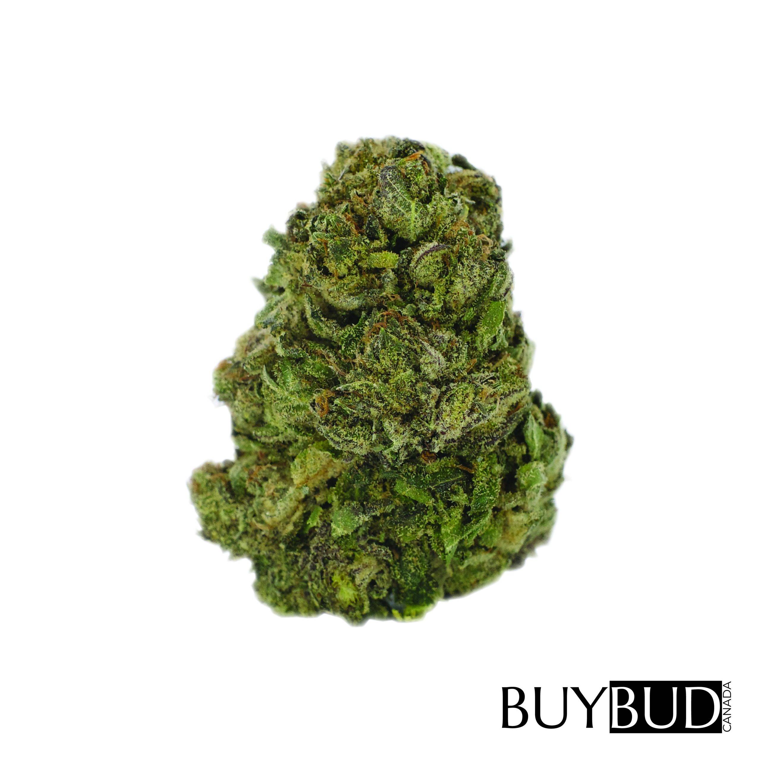 Afghan Hawaiian cannabis