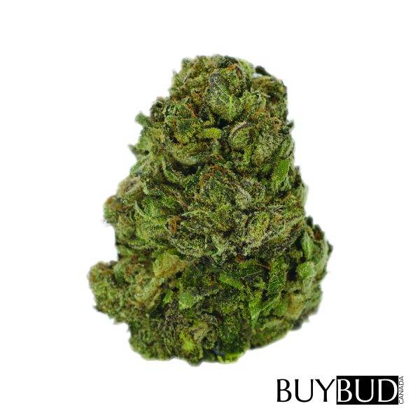 Afghan Hawaiian cannabis