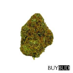 pink kush cannabis
