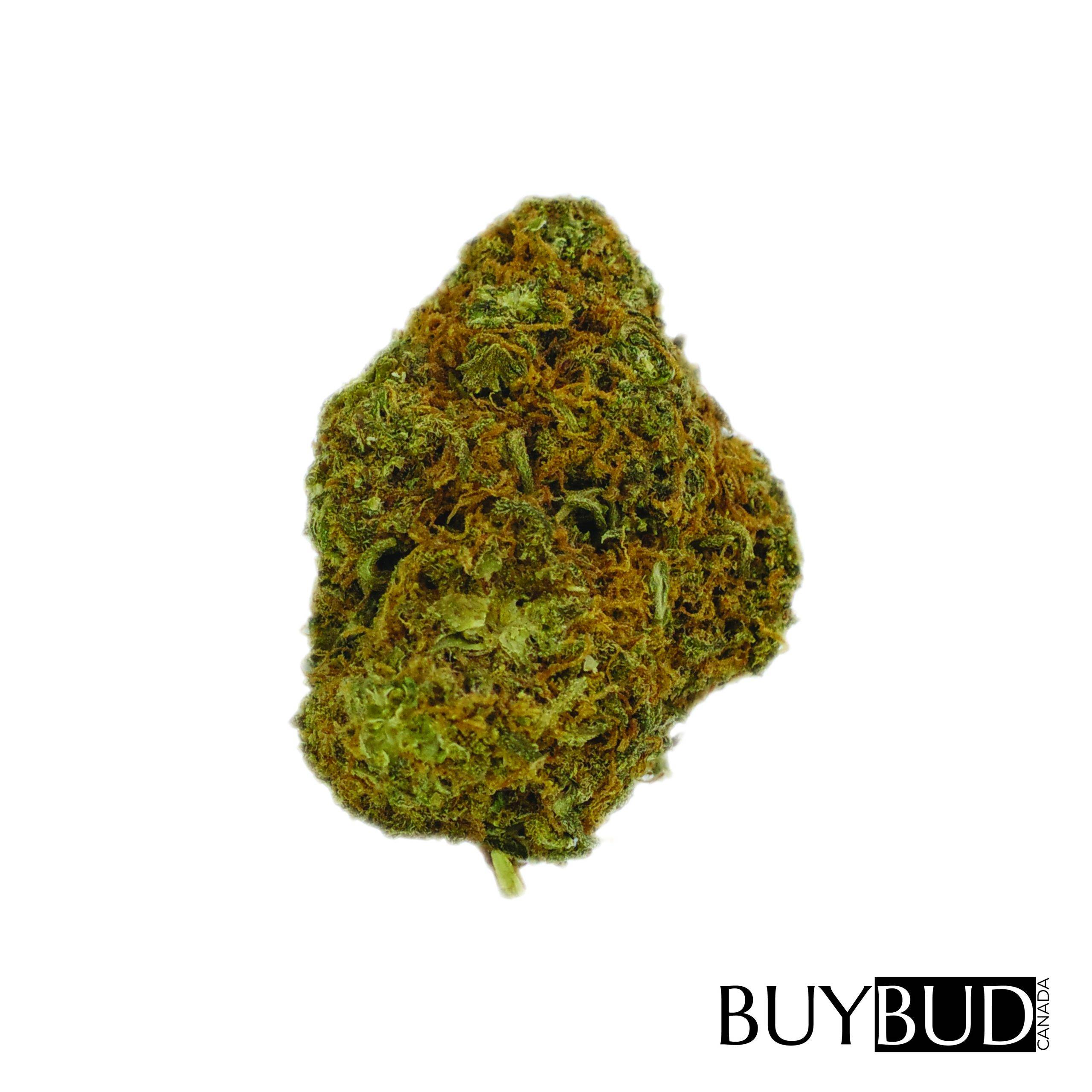 pink kush cannabis