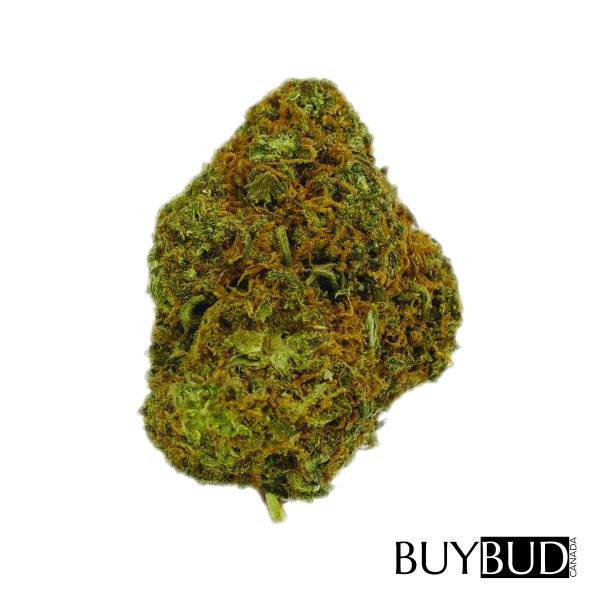 pink kush cannabis