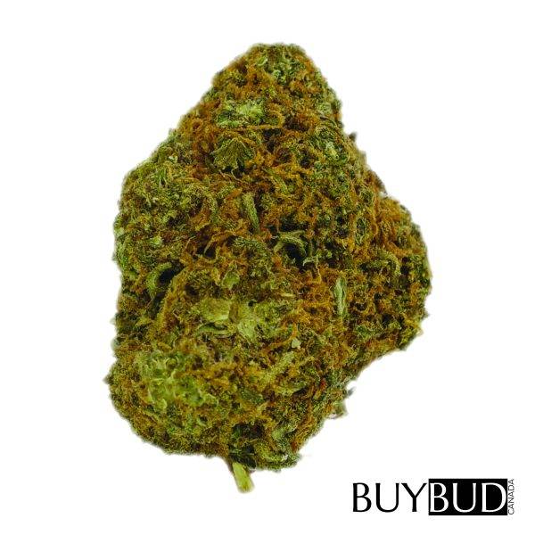 pink kush cannabis