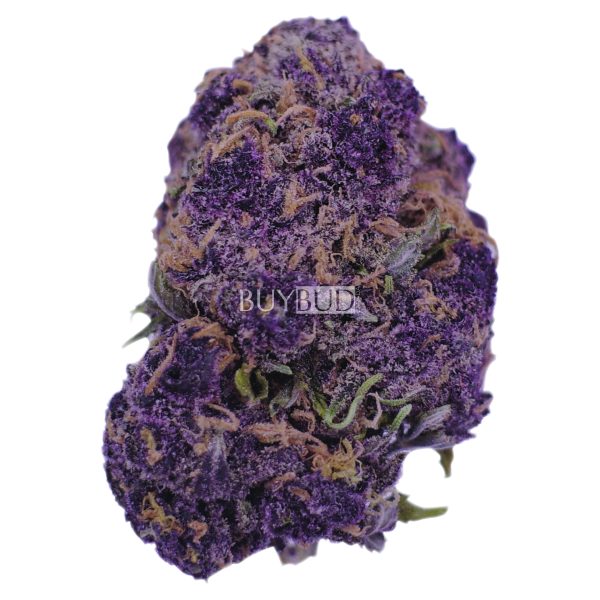 granddaddy purple cannabis