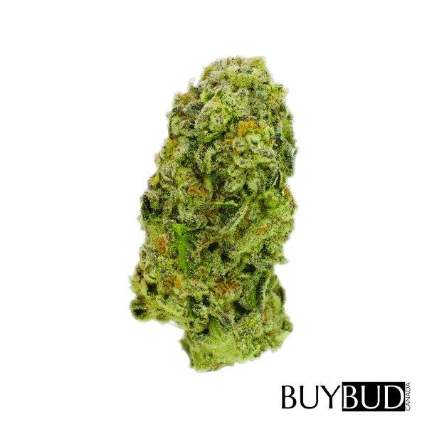 Cali Bubba Cannabis