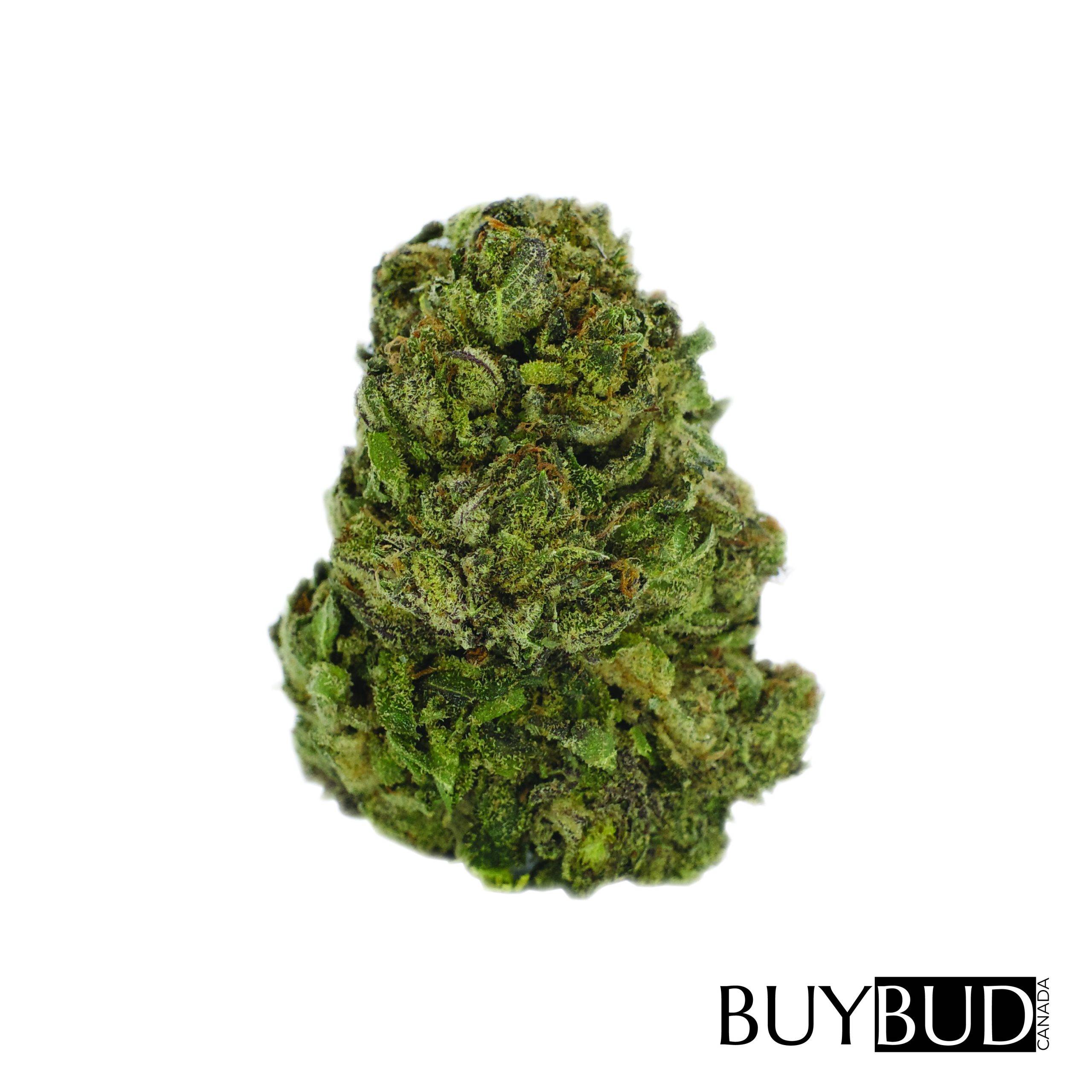 cereal milk cannabis
