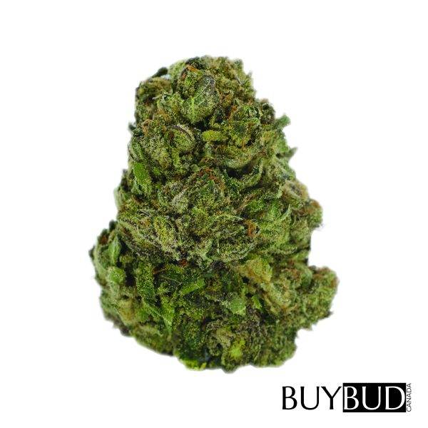 cereal milk cannabis