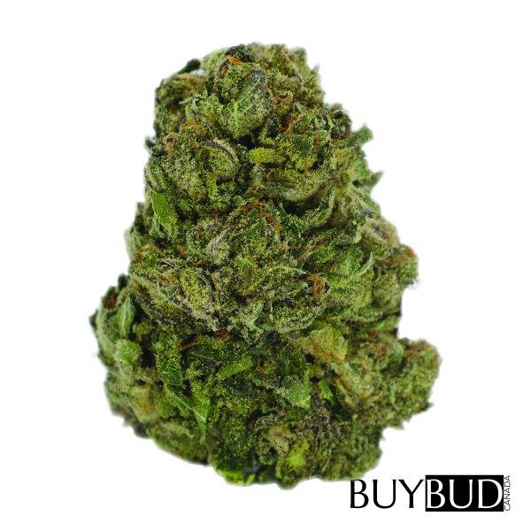 cereal milk cannabis