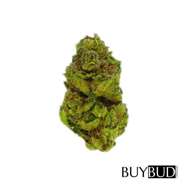 johnny chimpo cannabis