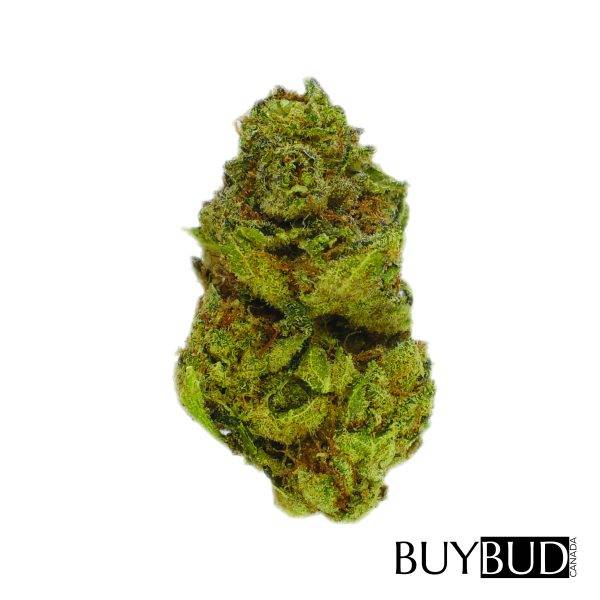 johnny chimpo cannabis