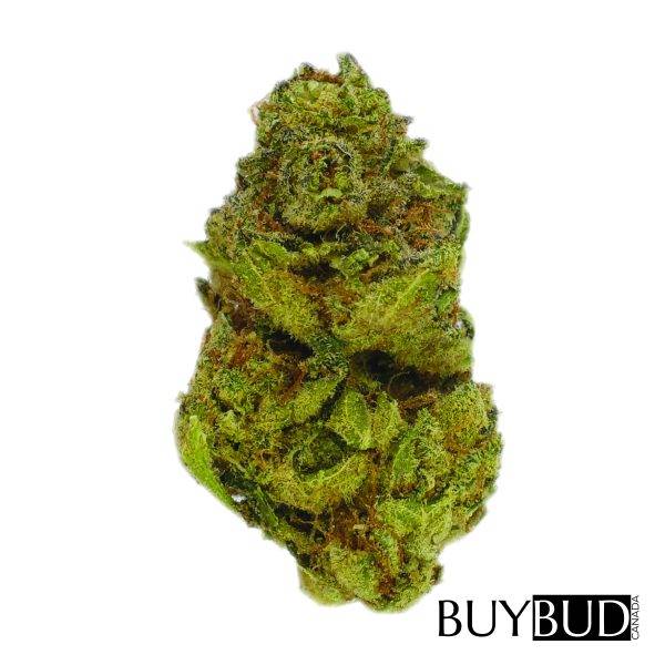 johnny chimpo cannabis