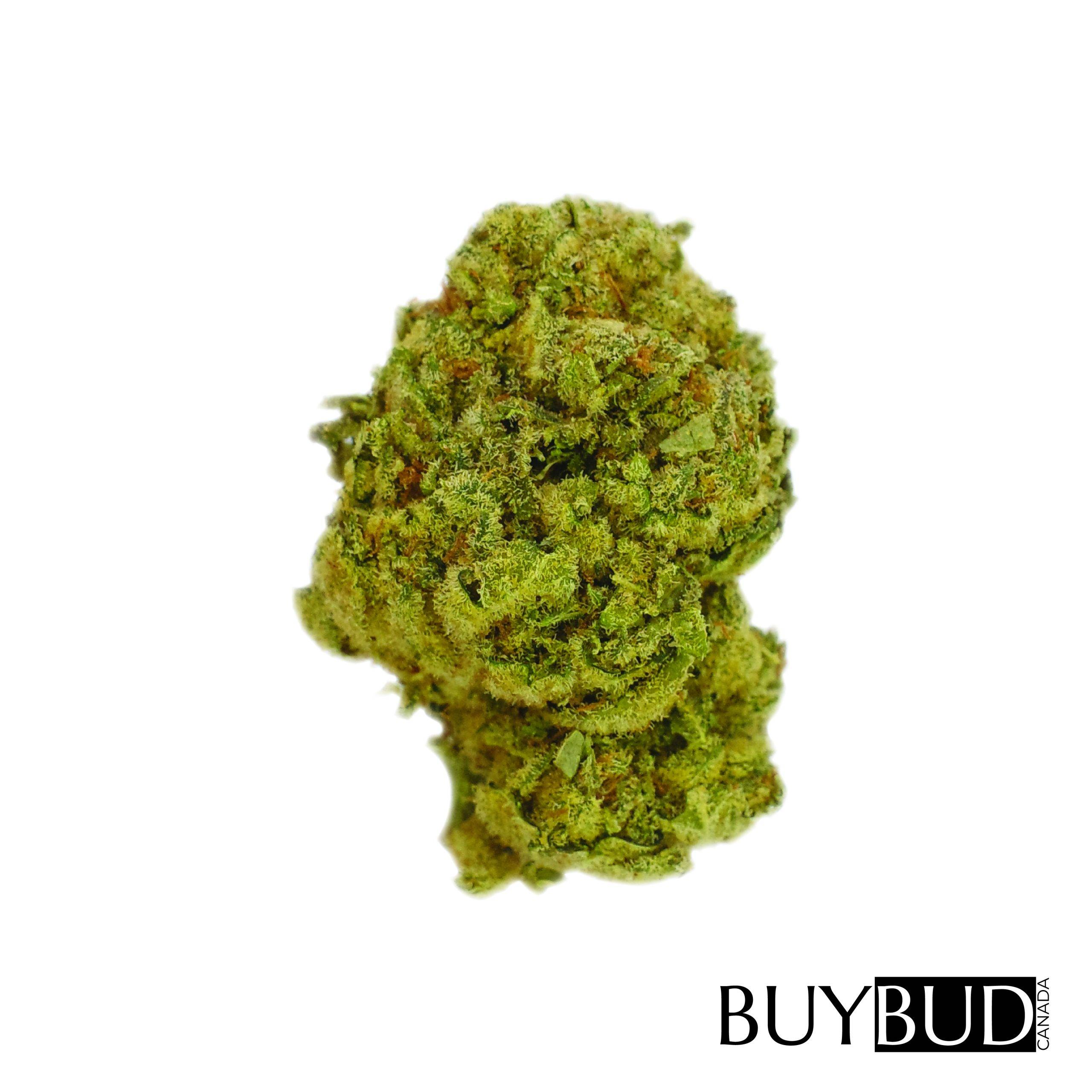 marionberry kush cannabis