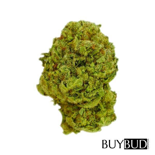 marionberry kush cannabis