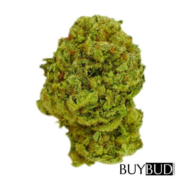 marionberry kush cannabis