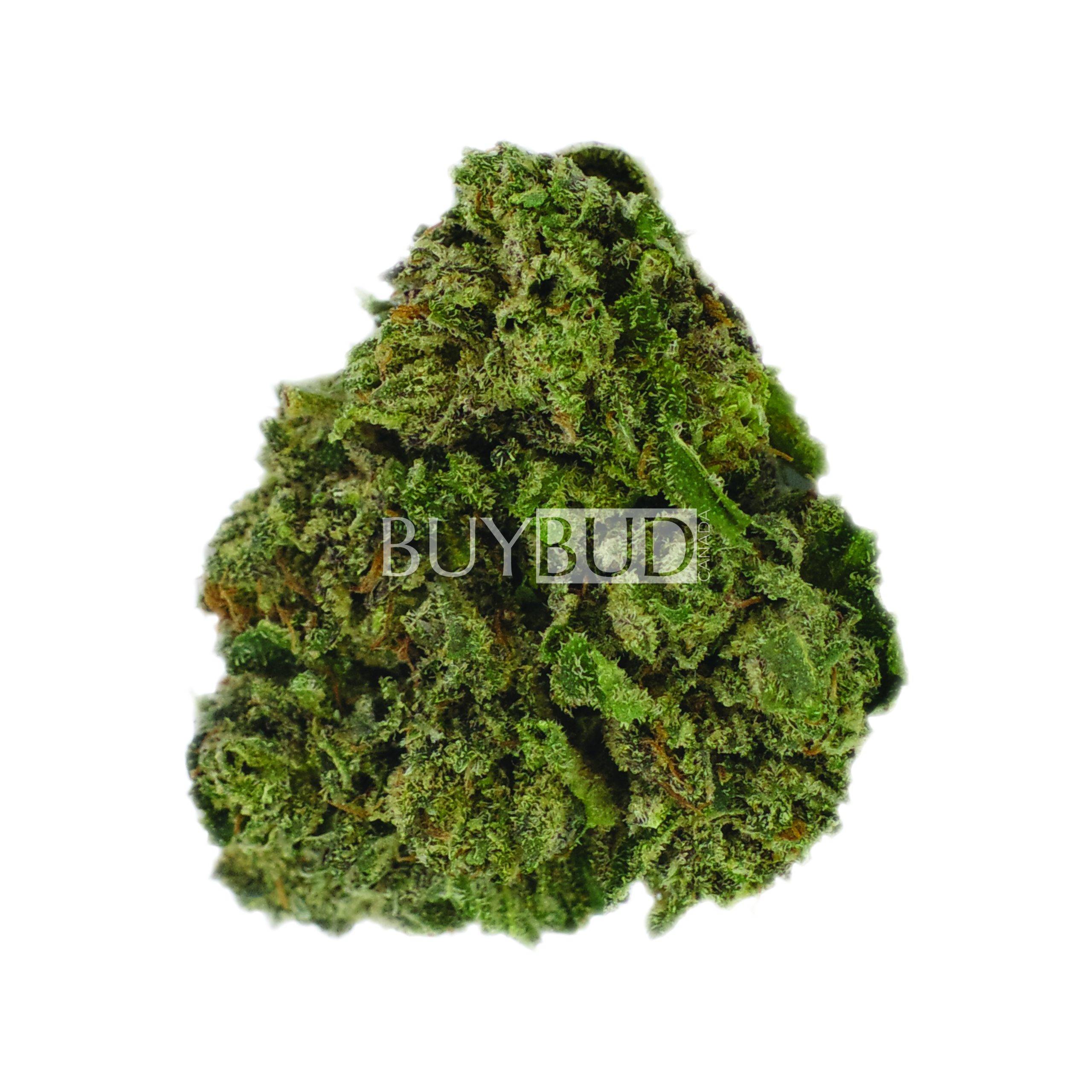 Alaskan Thunder Fuck Cannabis