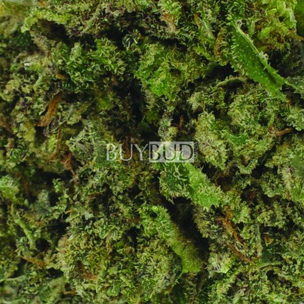 Alaskan Thunder Fuck Cannabis