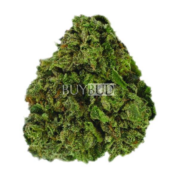 Alaskan Thunder Fuck Cannabis