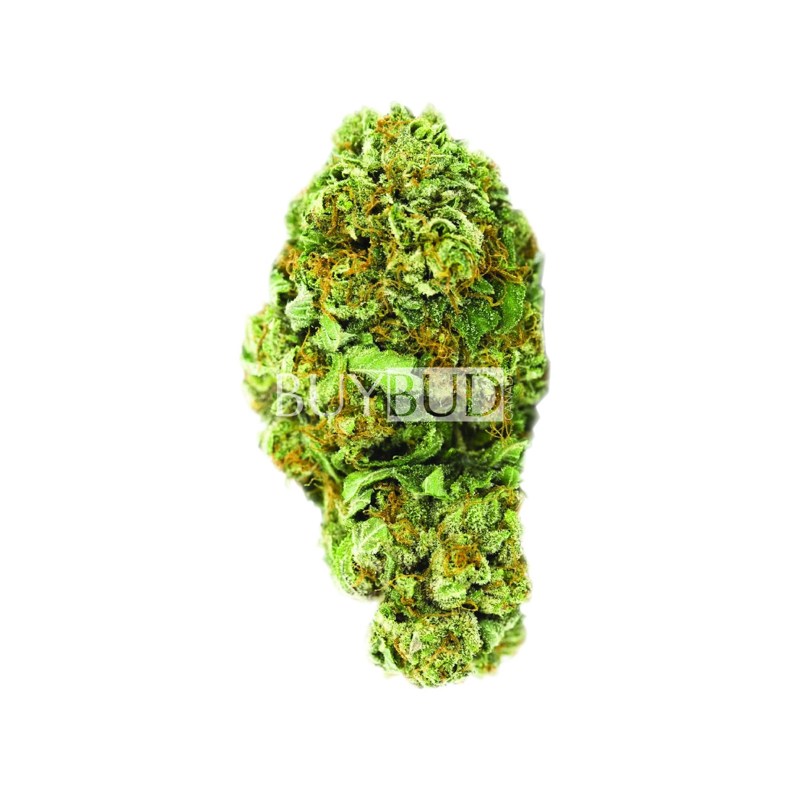 Blue Dream Cannabis