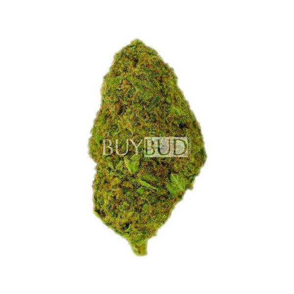 Green Crack Cannabis