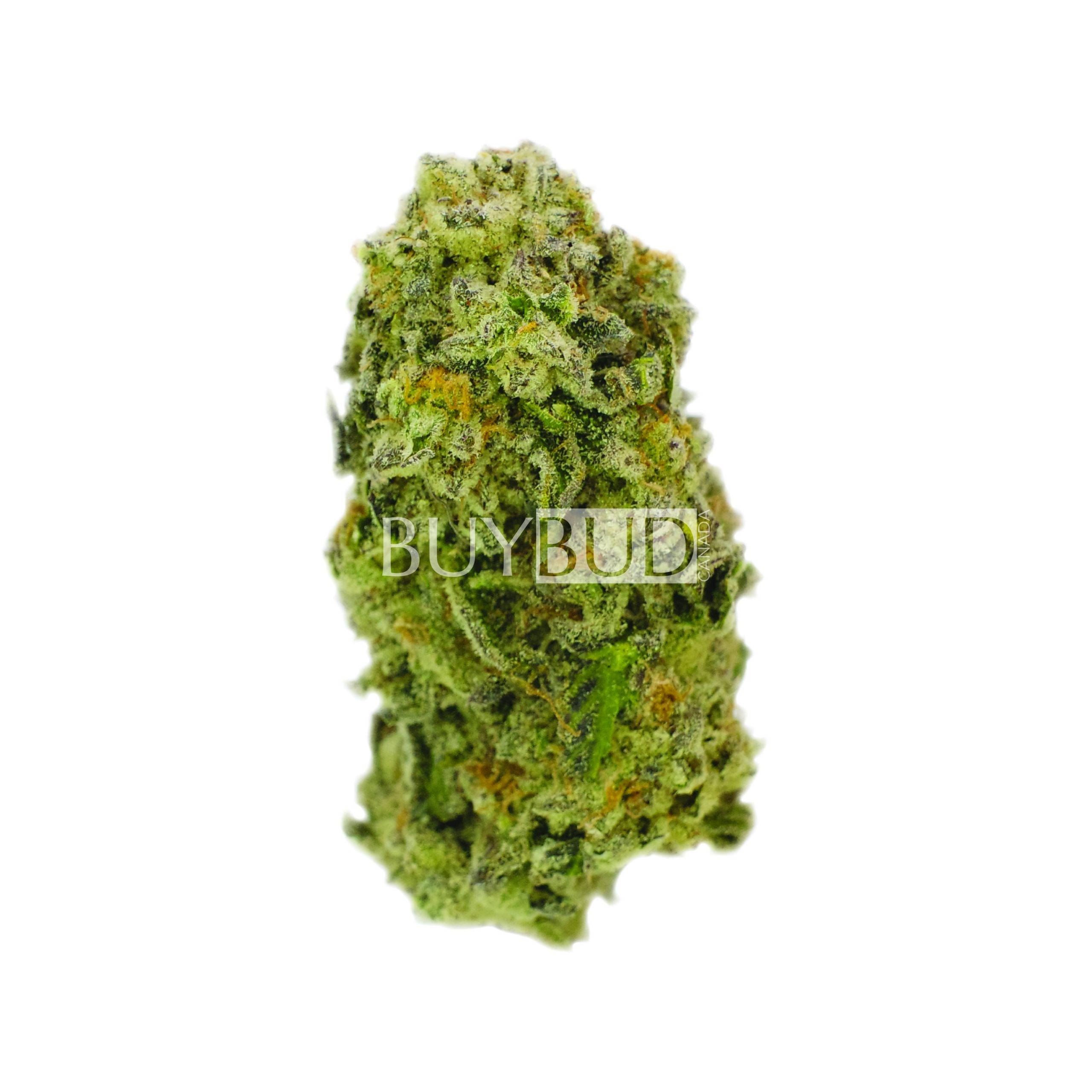 northern lights cannabis
