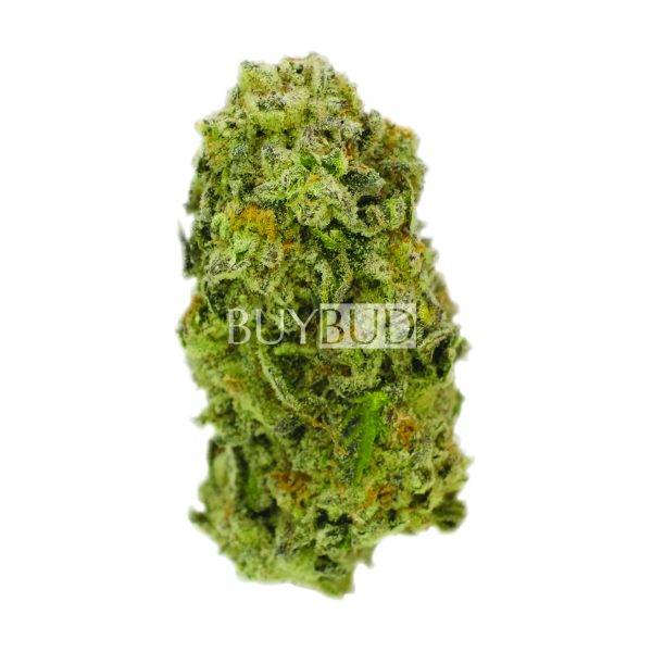 northern lights cannabis