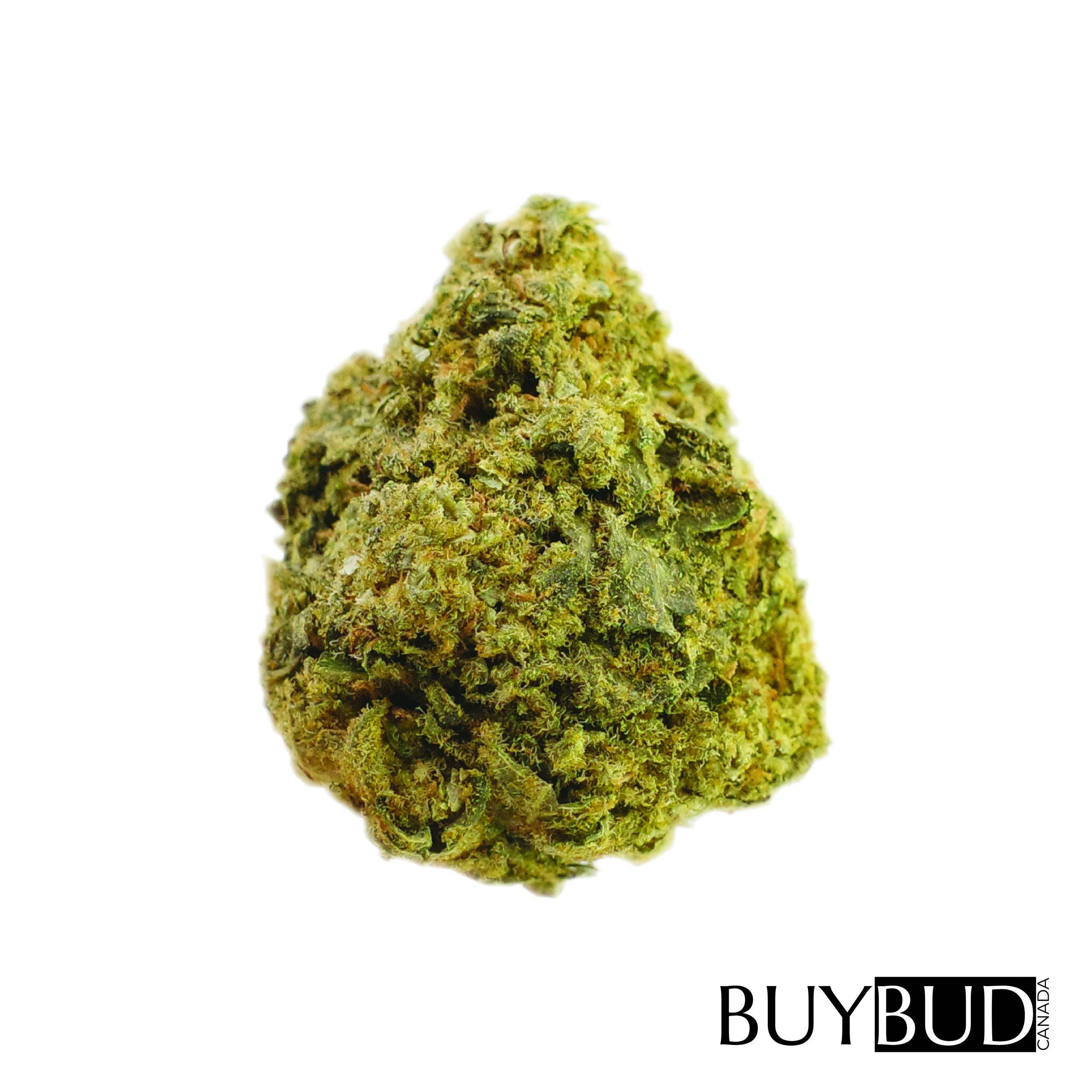 cherry pie cannabis