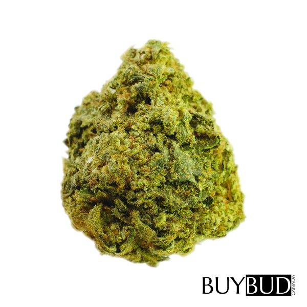 cherry pie cannabis