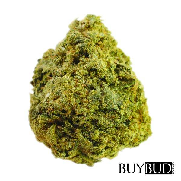 cherry pie cannabis