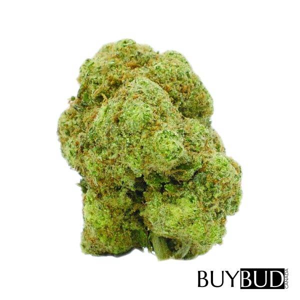 og kush cannabis