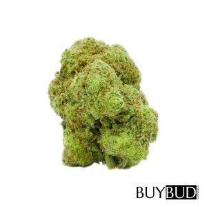 og kush cannabis