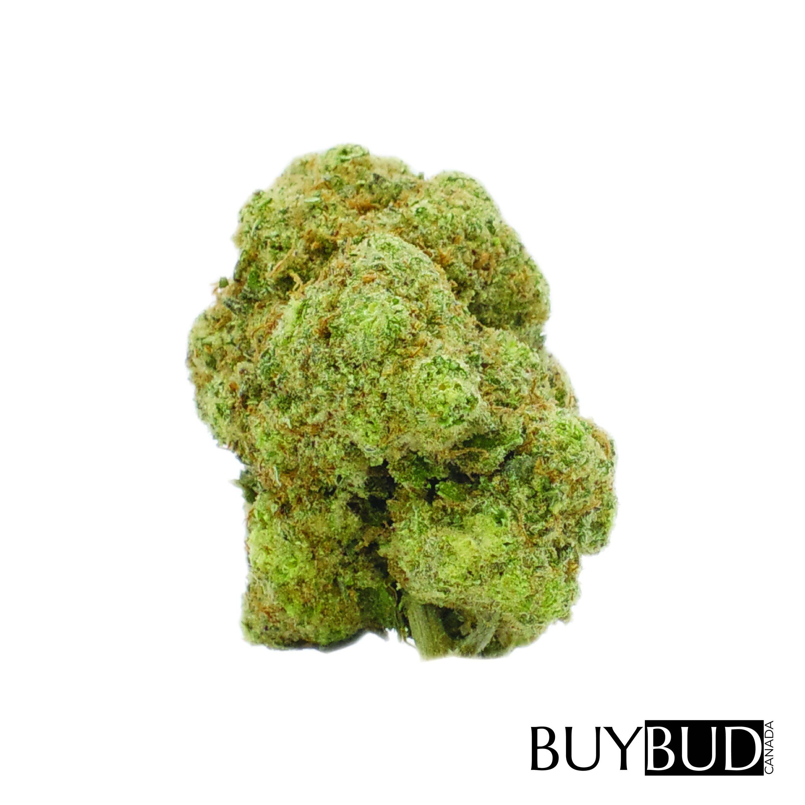 og kush cannabis