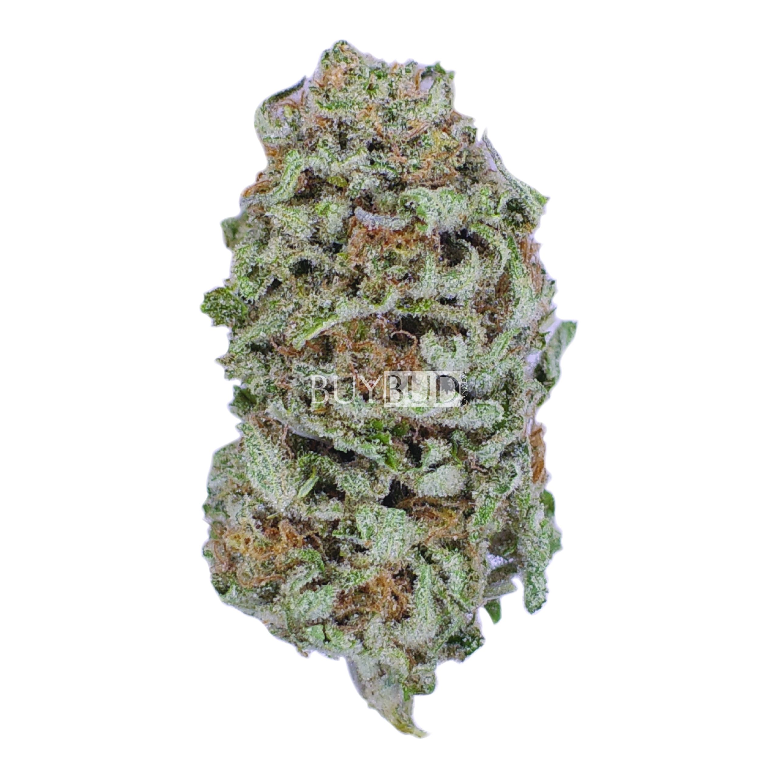 pineapple express cannabis