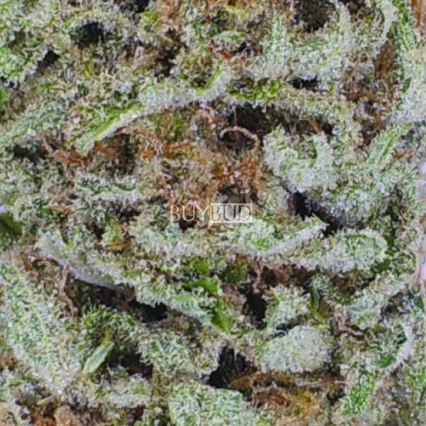 pineapple express cannabis