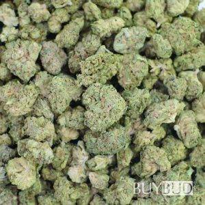 tom ford cannabis