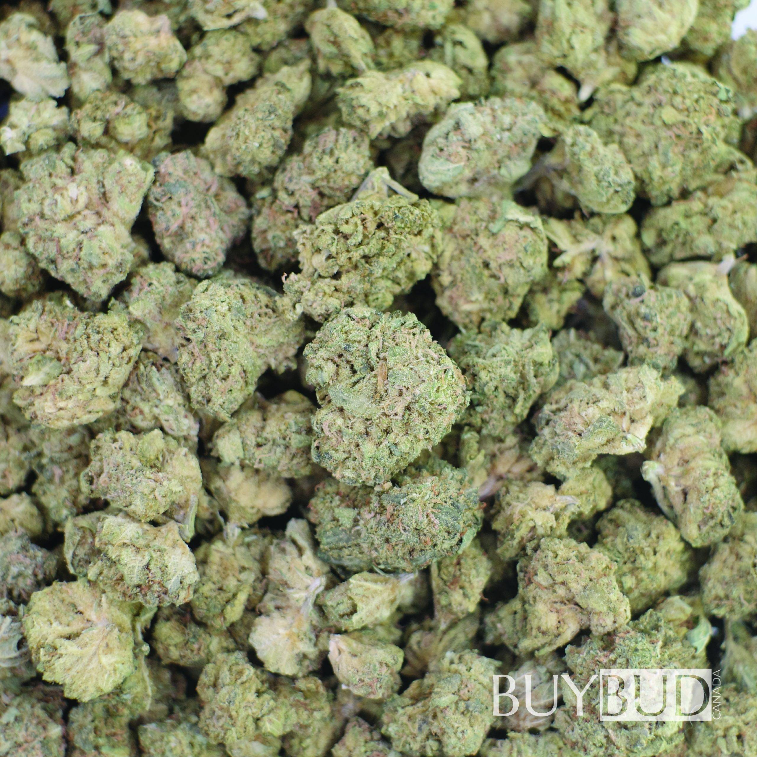 tom ford cannabis