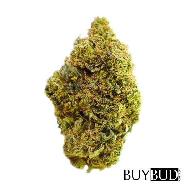 white widow cannabis