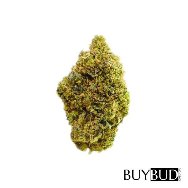 white widow cannabis