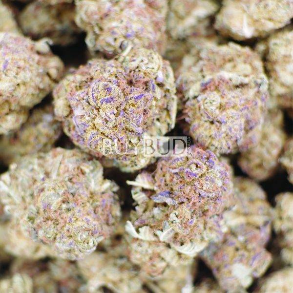 gummy bears cannabis