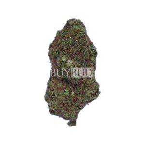 Sherbacio Cannabis